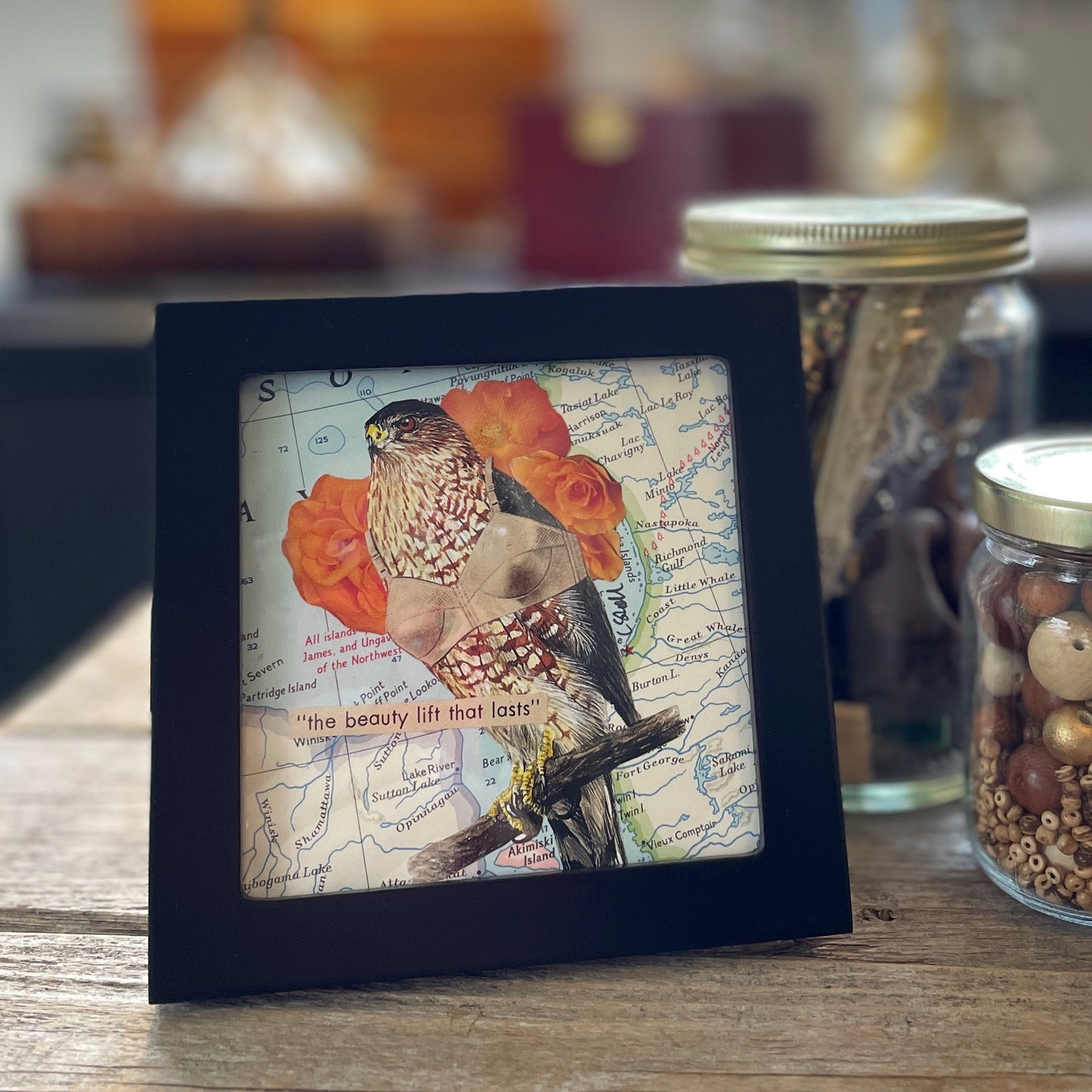 Original Collage - Birds in Bras (Various Framed)