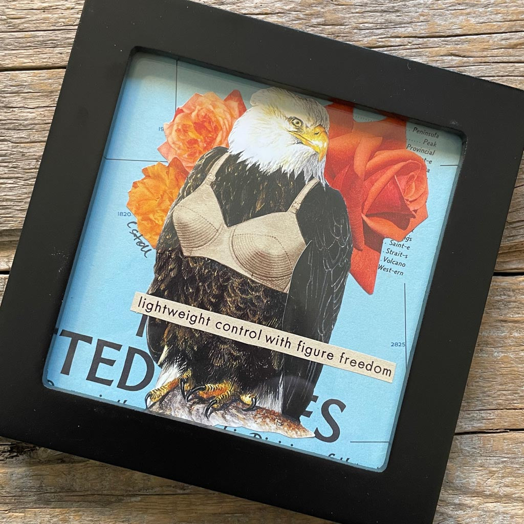 Original Collage - Birds in Bras (Various Framed)