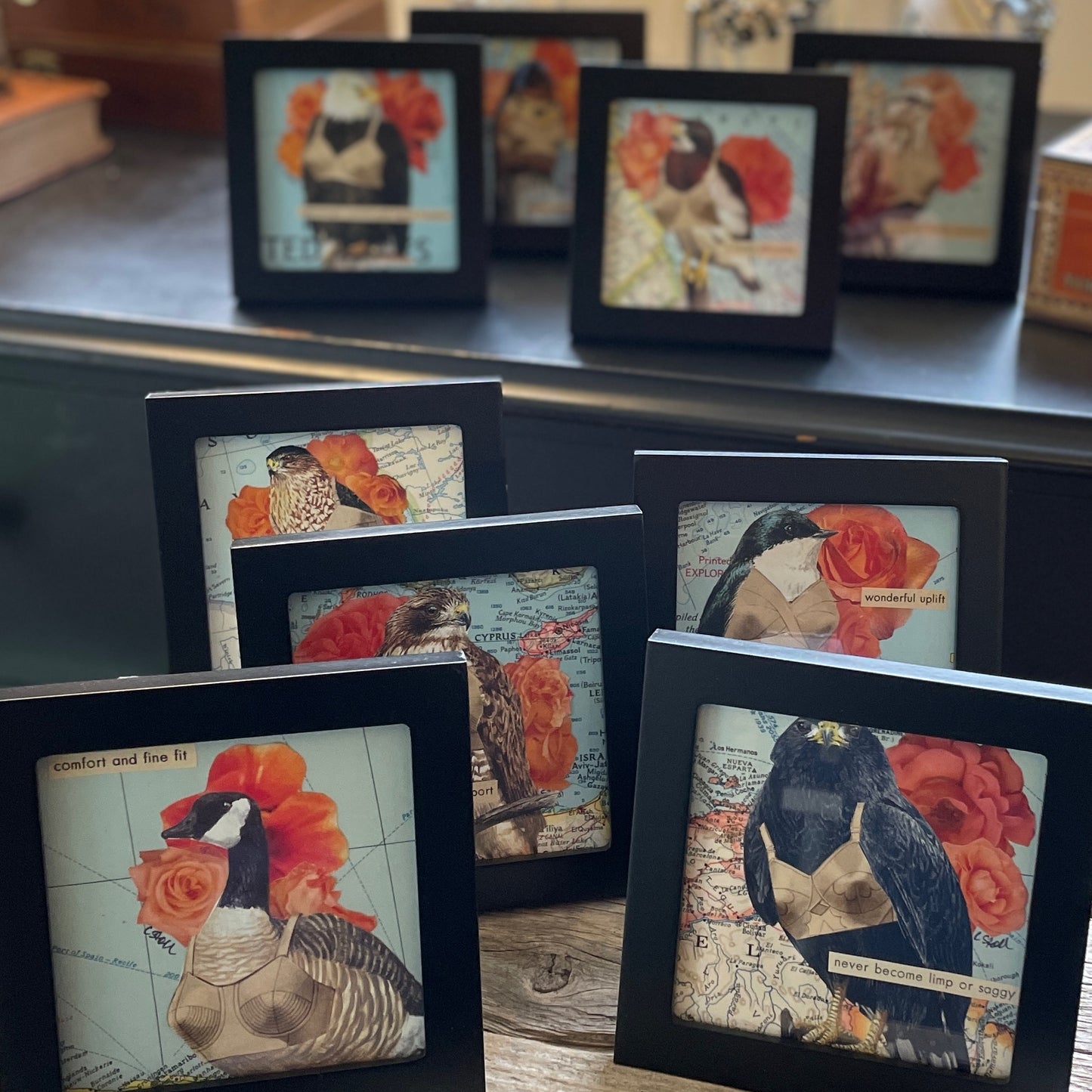 Original Collage - Birds in Bras (Various Framed)
