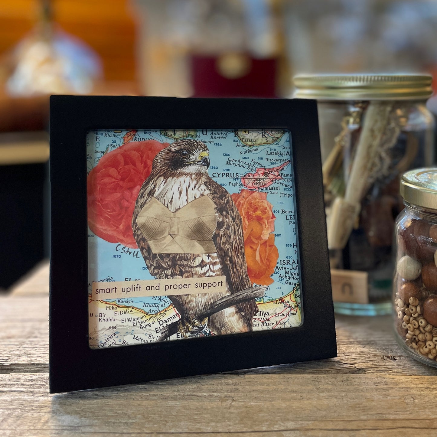 Original Collage - Birds in Bras (Various Framed)