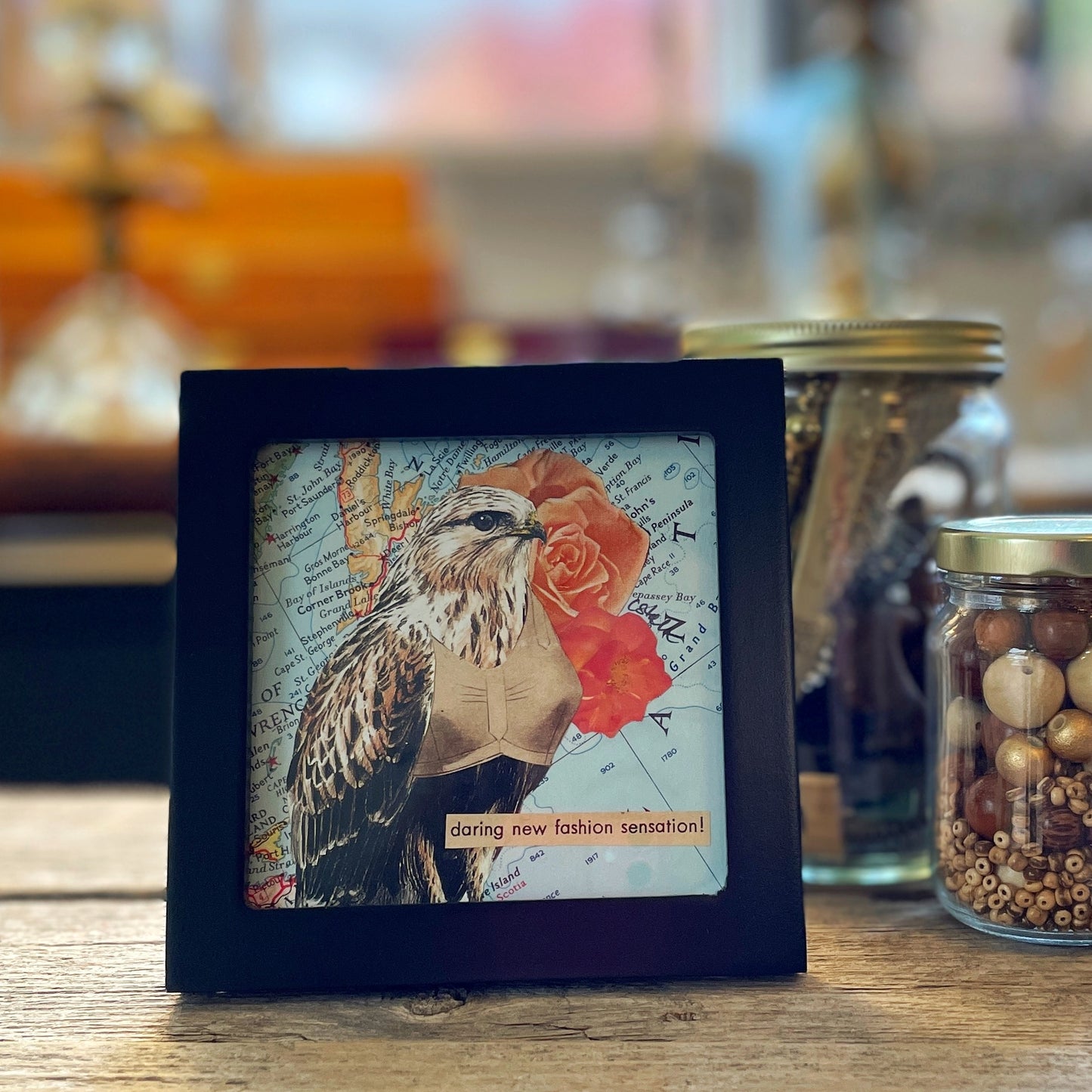 Original Collage - Birds in Bras (Various Framed)