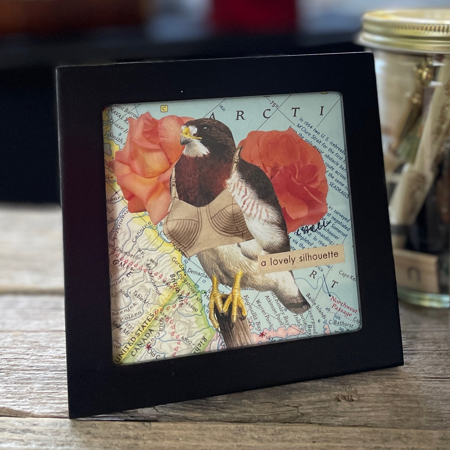 Original Collage - Birds in Bras (Various Framed)