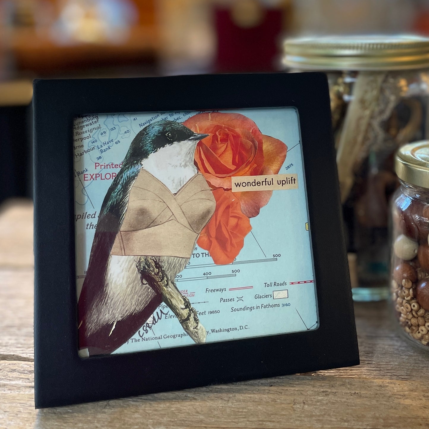 Original Collage - Birds in Bras (Various Framed)