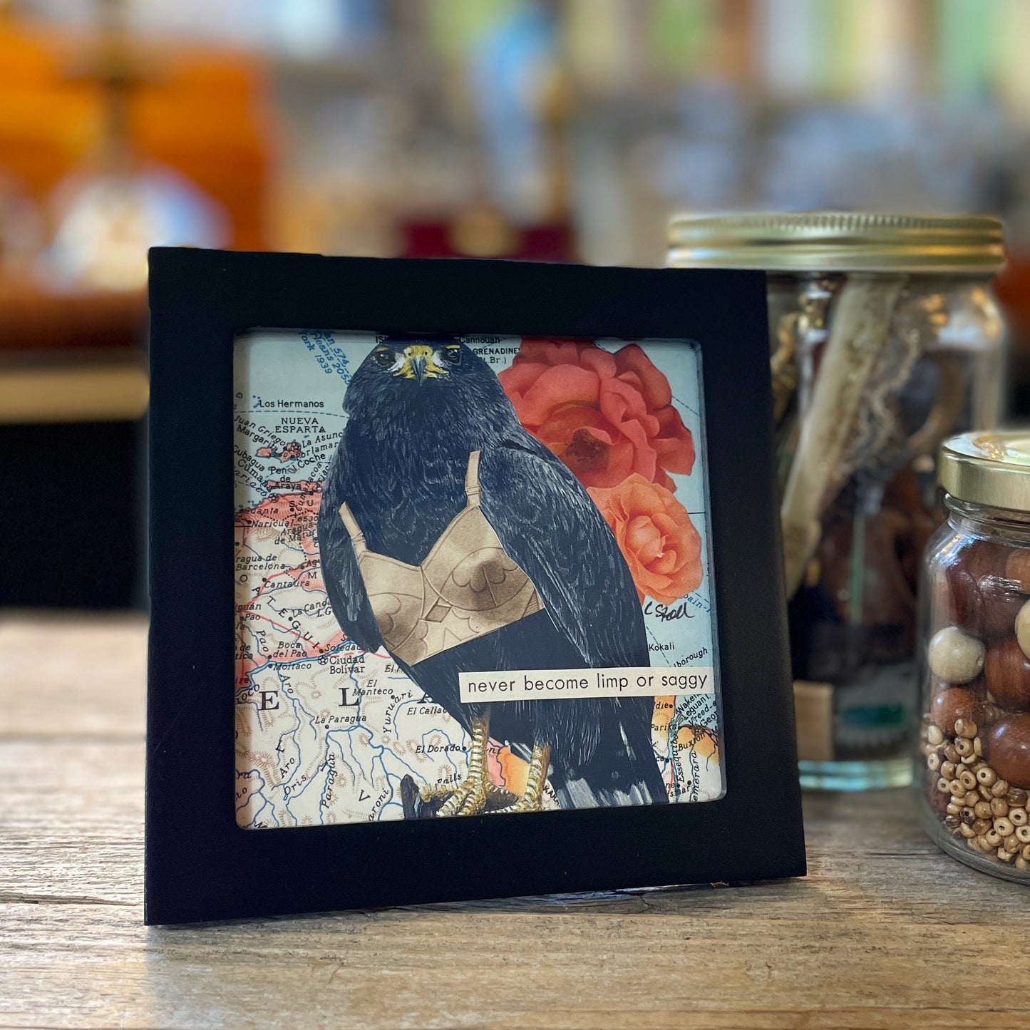 Original Collage - Birds in Bras (Various Framed)