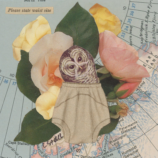 Original Collage - Owls in Underwear Series (Various Framed)
