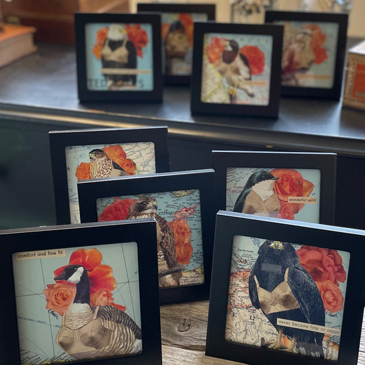 Original Collage - Birds in Bras (Various Framed)