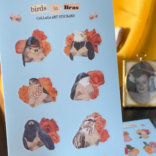 Sticker Sheet - Birds in Bras