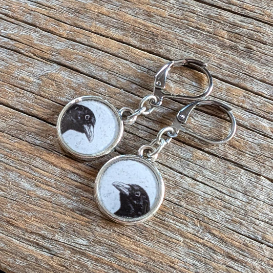 Peeking Crow Dangle Earrings - [Something to] Crow About