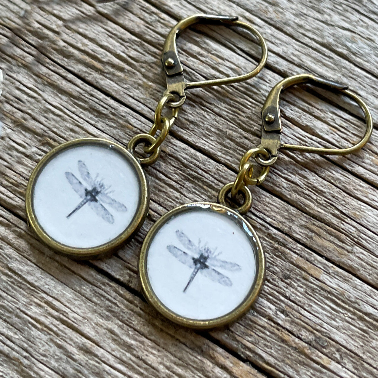 Dragonfly Vintage Image Dangle Earrings