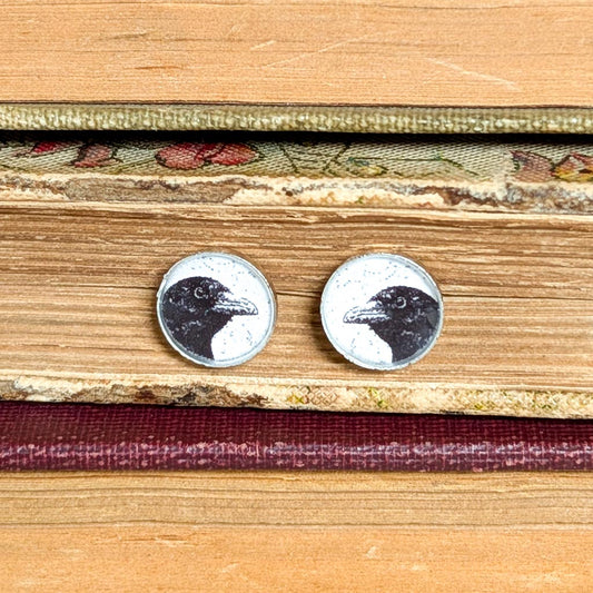 Crow Post Earrings - [Something to] Crow About Peeking Crow