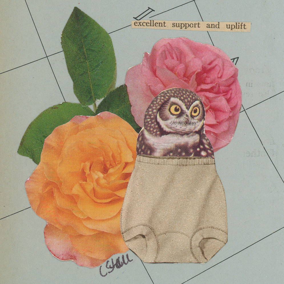 Original Collage - Owls in Underwear Series (Various Framed)