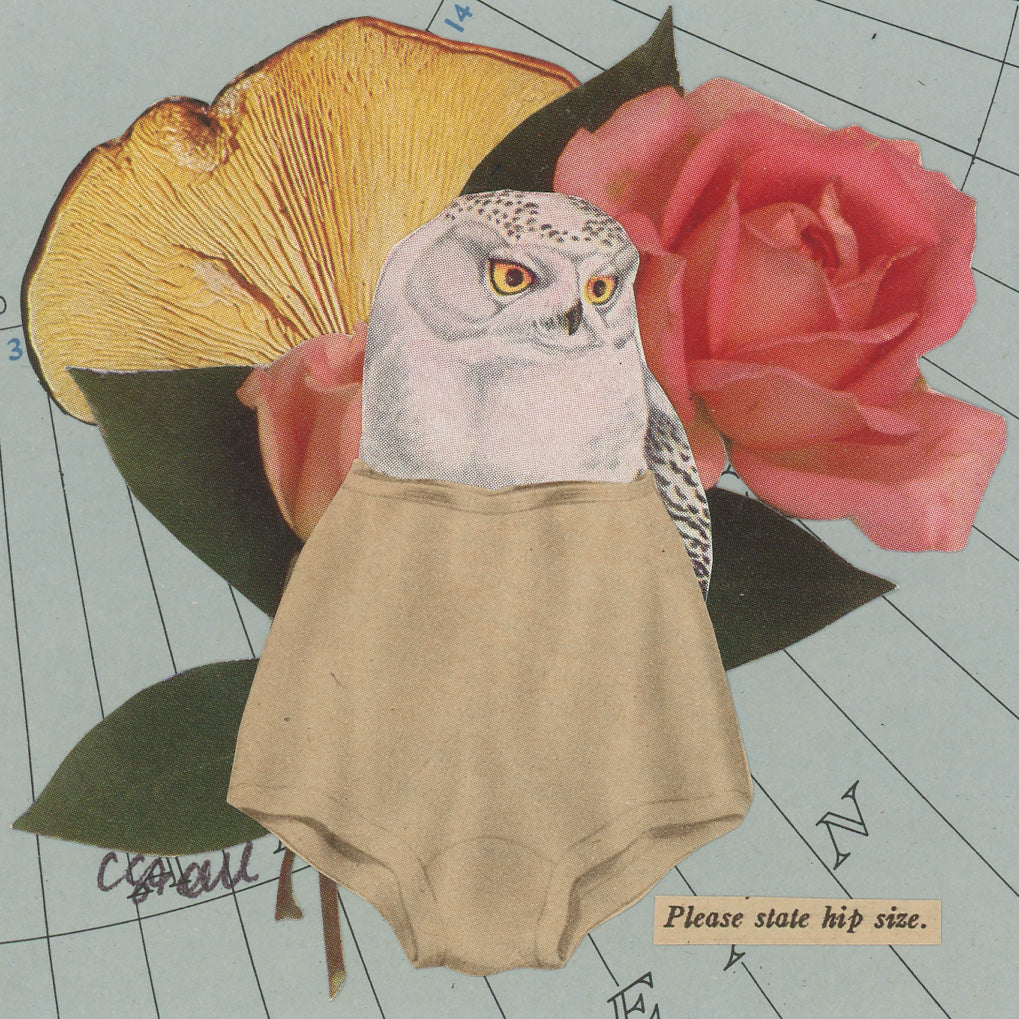 Original Collage - Owls in Underwear Series (Various Framed)